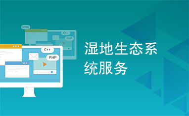 湿地生态系统服务与系统服务的多维功能与实践路径